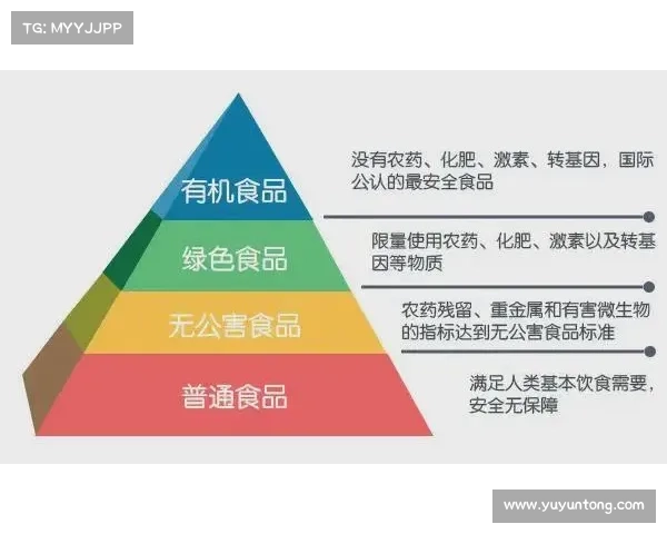 新时代策略游戏中的联盟技巧与合作策略全面解析 新时代策略游戏中的联盟技巧与合作策略全面解析